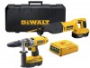DeWalt DC925CB 18 Volt Cordless Twin Pack - Recip Saw & Combi Driver