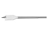 DeWalt DT4810QZ Flatwood Drillbit 10.0 x 160mm