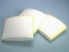Earlex WDACC10 Foam Filters (pack of 3)