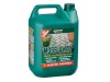 Everbuild Moss Away Concentrate 5ltr