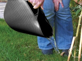 Click For Bigger Image