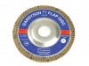 Garryson DIY Zirconium Flap Disc 100mm x 16mm - 40 grit Coarse