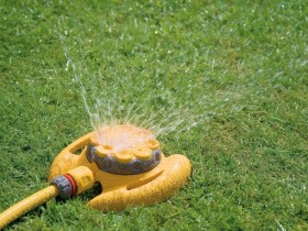 Click For Bigger Image