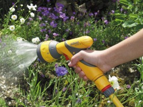 Click For Bigger Image