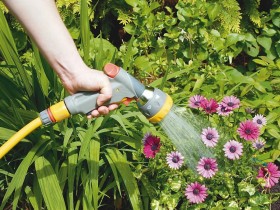 Click For Bigger Image