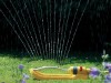 Hozelock 2974 Aquastorm 17 Oscillating Sprinkler