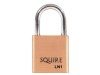 Henry Squire LN1 Lion Brass Padlock 20mm