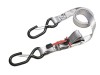 Masterlock 1.8M Spring Clamp Tie Down + Hooks (4)