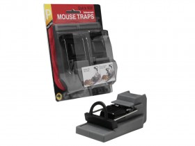 Click For Bigger Image