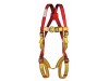 Scan Fall Arrest PIONEER DS Harness