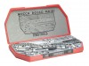 Teng MR101 Jumbo Socket/ Spanner Set 101pc
